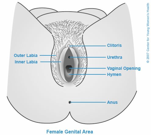 hymen