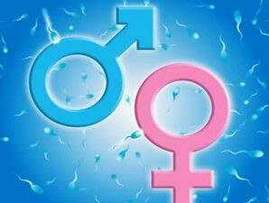 BABY GENDER PREDICTION