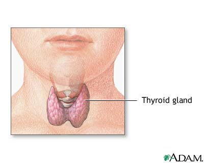 thyroid
