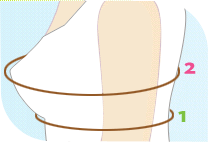 HOW TO MEASURE BRA SIZE