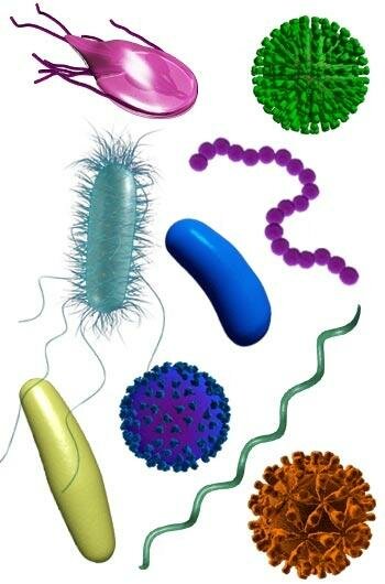 STIs