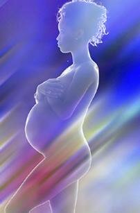 pregnancy