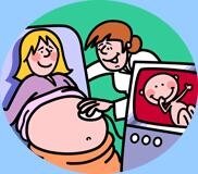 Pregnancy Facts