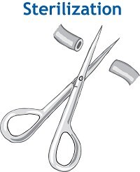 STERILIZATION